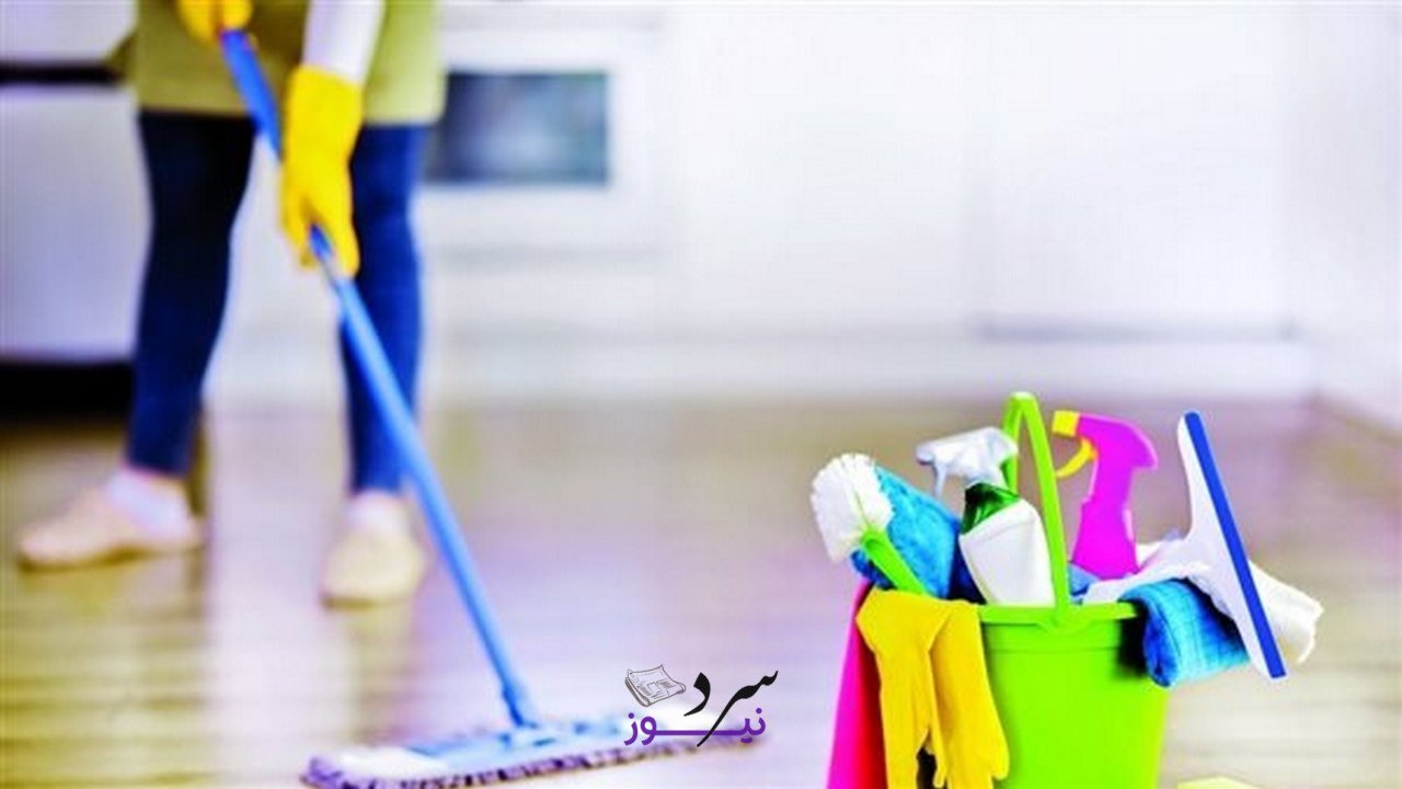 استقدام العمالة المنزلية من فيتنام 2025