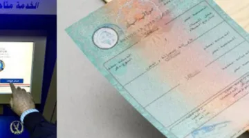 شهادة ميلاد مميكنة