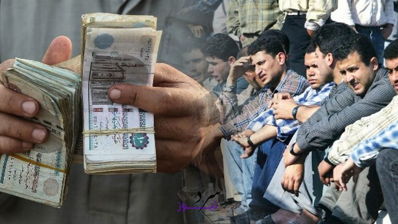 الفئات والشروط.. منحة العمالة غير المنتظمة 2025 وطريقة التقديم