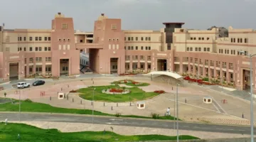 جامعة