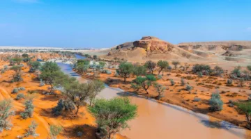 محمية الملك عبدالعزيز